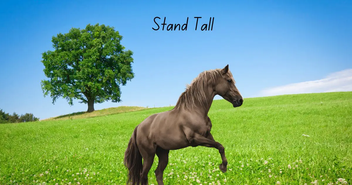 Be strong and stand tall.